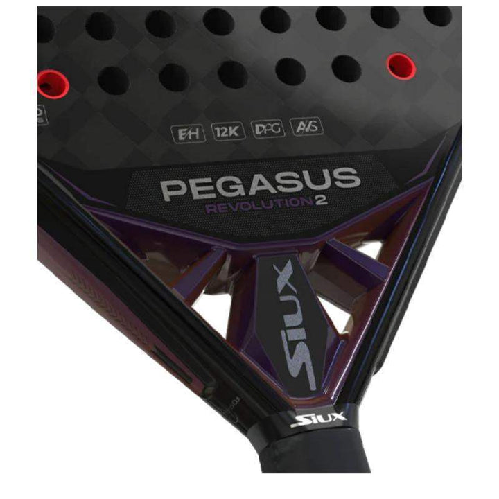 Siux Pegasus Revolution 2 2024 Racquet